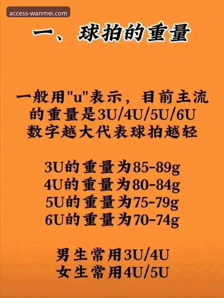 新手必看：完美体育平台注册使用全攻略与实战经验